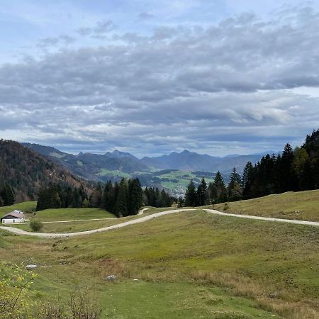 Ferienhaus Kaiserblick - Fewo2 Walchsee Extérieur photo