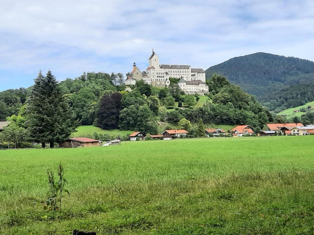 Ferienhaus Kaiserblick - Fewo2 Walchsee Extérieur photo