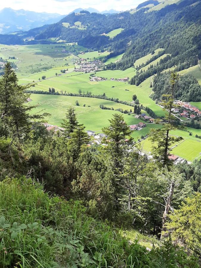 Ferienhaus Kaiserblick - Fewo2 Walchsee Extérieur photo
